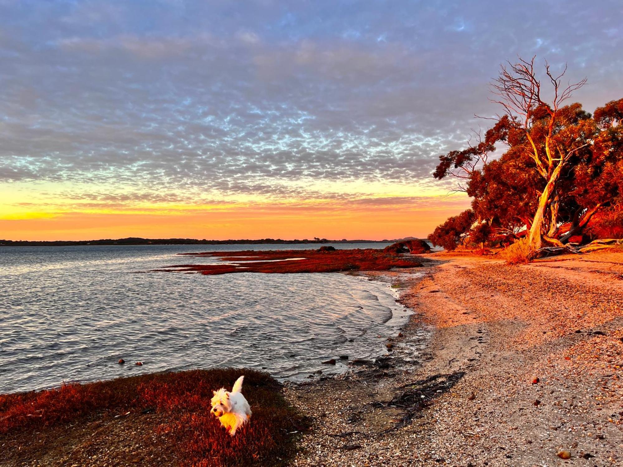 Sunrise On Falie Seaview Eco Accommodation American River Exterior photo